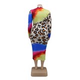 Women Long Sleeve Dress Stretch High Waist Leopard Print Dresses 142435