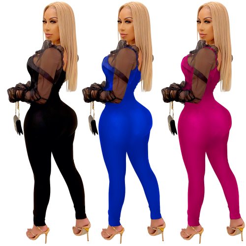 Women Long Sleeve Leisure Mesh Bodysuits Bodysuit Outfit Outfits C390011