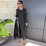 Winter Women's Round Neck Long Sleeve Mid-Length Dress Dresses S390059610