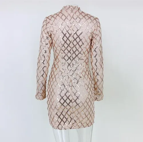 Women Sequins Round Neck Long Sleeve Slim Dresses