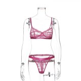 Sexy Lace Mesh Lingeries Set Underwear S760112J
