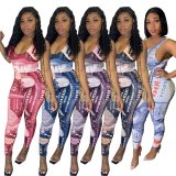 Women Elegant Sleeveless Bodysuits QS504657