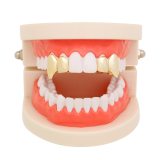 Halloween Party Cosplay Dentures Props Glue Punk Tooth Grills 110617