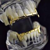 Gold Braces Tiger Teeth Braces Teech Grills XHYT100819
