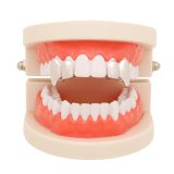 Halloween Party Cosplay Dentures Props Glue Punk Tooth Grills 110617