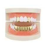 Factory Bottom Price Gold Color Mixed Design Fake Tooth Grills Set XHYT105061