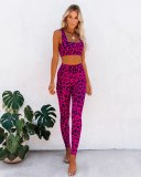 Sexy Leopard Women Bodysuits Bodysuit Outfit Outfits GCY-70011