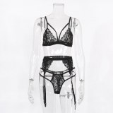 Female Lace Lingeries Underwear S702334J