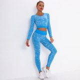 Seamless Yoga Suits Jogging Suits Tracksuits Tracksuit Outfits 631324