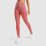 Seamless Leggings High Waist Women Fitness Yoga Pants 9149510