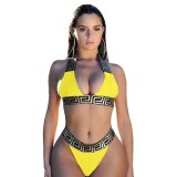 Summer Fashion Beach Style Women's Sexy Bikini Swimsuits LS615263
