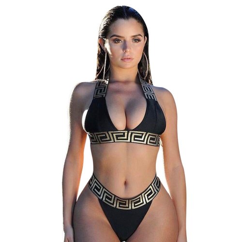 Summer Fashion Beach Style Women's Sexy Bikini Swimsuits LS615263