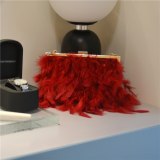 Fashion Faux Fur Crossbody Handbags DNX2093104