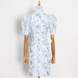 Women Floral Print Short Puff Sleeve Bow Lace Up High Waist Dresses VDR8370516