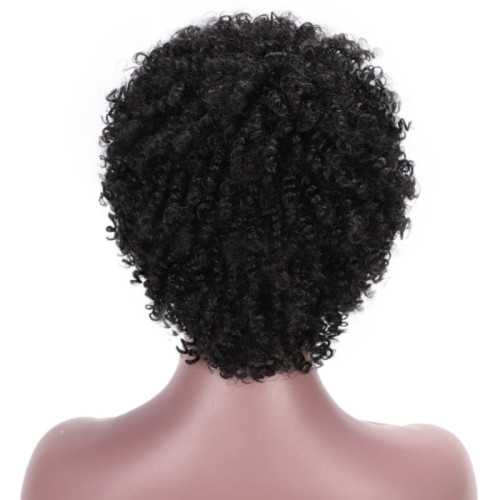 Women Black Color Short Synthetic Wigs 953041