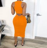Sexy Ladies Party Dress Dresses LD86105