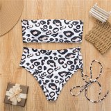 Sexy High Waisted Summer Bikini Swimsuit Swimsuits XL01627