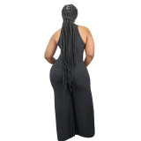 plus size XL-5XL autumn casual Women's pants 2020 fashion solid color deep V sexy long sleeve jumpsuit set YF120011