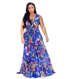 Women's V-neck Sleeveless Printed Dress Dresses X900516