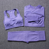 Women Summer 3pcs Yoga suits Jogging Suits Tracksuits Tracksuit Outfits 3MT00314
