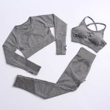 Women Seamless Yoga suits Jogging Suits Tracksuits Tracksuit Outfits MT01526