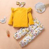 Baby Pleated Long Sleeve Bodysuits Bodysuit Outfit Outfits