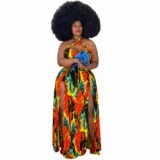 Summer Women Digital Printed Sexy Dress Dresses P507586