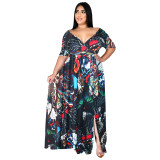 Sexy V Neck Long Sleeve Printed Dress Dresses D1091102-D10991010