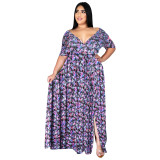 Sexy V Neck Long Sleeve Printed Dress Dresses D1091102-D10991010