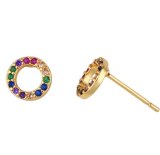 Heart Multicolor Plated Crystal Drop Hoop Earrings erq0213