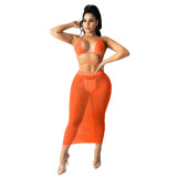 Sexy Mesh Women Bikini Beach Dress Dresses TS112536