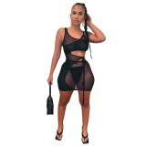 Women's Sexy Sling Mesh See Through Dress Dresses A667384