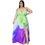 Women Sexy Halter Sleeveless Backless Printing Charming Dresses D1200-121122