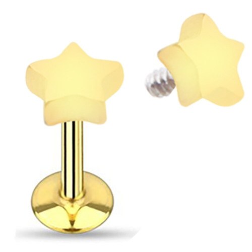 Five-Pointed Star/Heart/Square/Round Lip Labret Earrings