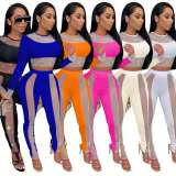Women Diamond Full Sleeve Bodysuits Bodysuit Outfit Outfits YF908495