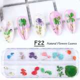 Natural Dry Flower Nail Art 3D Patch