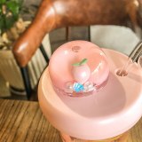 Cartoon Cute Creative Student Fruit Turn Plastic Summer Children's Cups