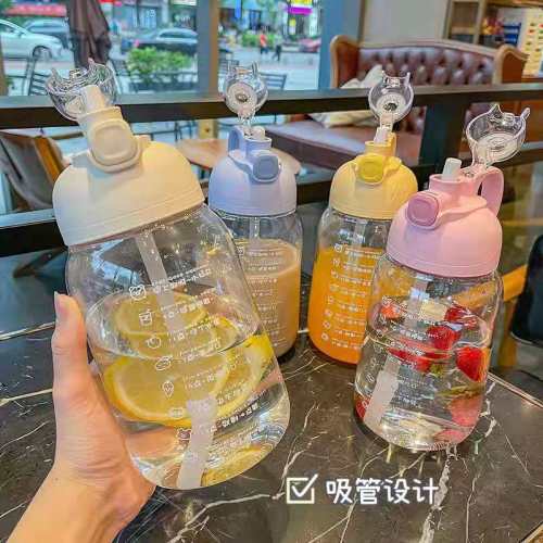 Cute Big Belly Bottle for Flip Top Lid Clear Water Cups