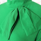Fashion Women Office Dress Dresses