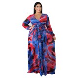 Women Print V Neck Long Sleeve Beach Dress Dresses D5500-D551122