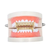 Hip Hop Cubic Zircon Hollow Out Tooth Socket