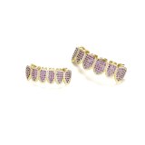 Purple AAA CZ Micro Pave Top Bottom Tooth Socket BESYT07384