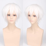 High Temperature Silk Thickened Hair Wigs PL-00213