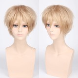 High Temperature Silk Thickened Hair Wigs PL-00213