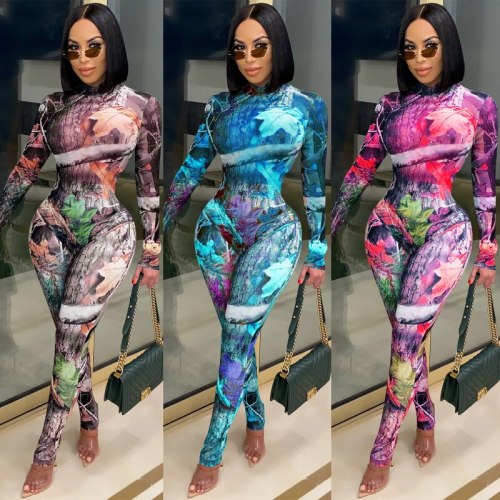 Women Sexy Printing See-Through Mesh Bodysuits Bodysuit Outfit Outfits C373041