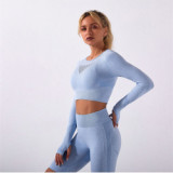 Women Seamless Yoga suits Jogging Suits Tracksuits Tracksuit Outfits YJ02839