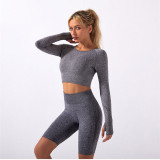 Women Seamless Yoga suits Jogging Suits Tracksuits Tracksuit Outfits YJ02839