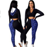Women Long Sleeve Hooded Two pcs one set Tops with Bottom Pants(shorts)outfit outfits YSM80819