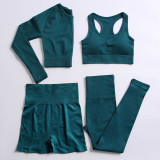 Women's Seamless Yoga suits Jogging Suits Tracksuits Tracksuit Outfits 00617