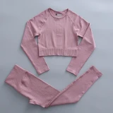 Women's Seamless Yoga suits Jogging Suits Tracksuits Tracksuit Outfits B001122